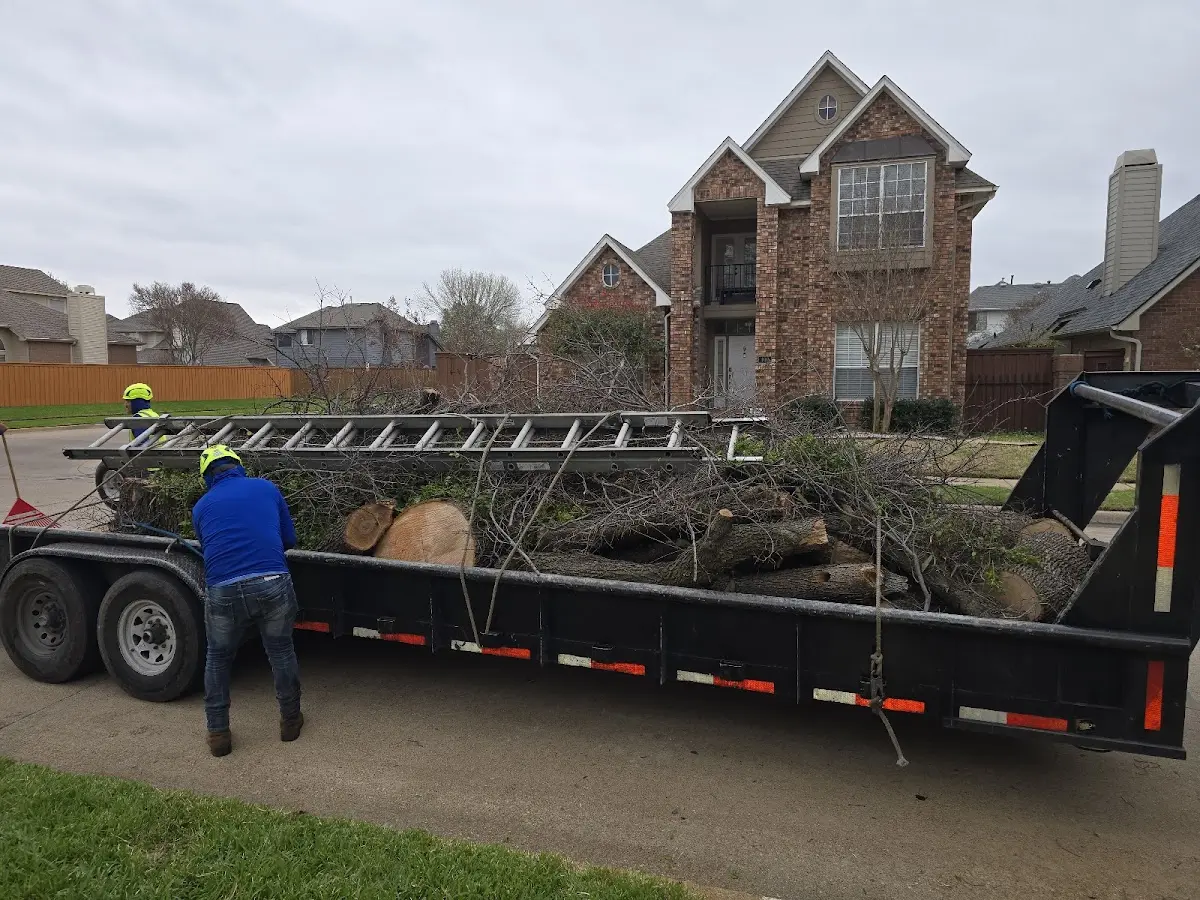 Expert Tree Fertilization with proper safety equipment in Bethany